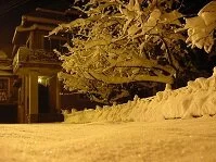 Copyright © Safari the Globe Moldovan Geography - Winter snows