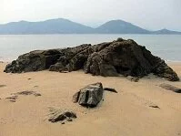 Copyright © Safari the Globe Chinese Geography - Hong Kong