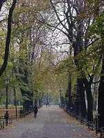 Copyright © Safari the Globe Polish Geography - Krakow