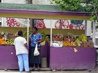Copyright © Safari the Globe Bahamian Culture - Fruit market