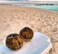 Copyright © Daniel Korzeniewski Bahamian Food - Coconut drink