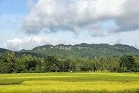 Copyright © Monirul Hassan Bangladeshi Geography - Hills