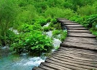 Copyright © sykwong / 123RF Stock Photo Croatian Geography - Path in the forest