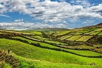 Copyright © matthi / 123RF Stock Photo Irish Geography - Dingle Peninsula