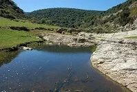 Copyright © Leonid Spektor Israeli Geography - River in Rosh Pinna