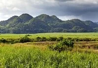 Copyright © Konstantin Kulikov Jamaican Geography - Nassau Mountains