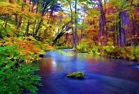 Copyright © Nicholas Han Japanese Geography - Oirase River