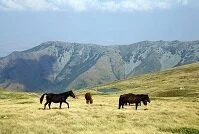 Copyright © Jovan Jaric Macedonian Geography - Mountains
