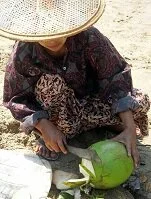 Copyright © rustycarr / 123RF Stock Photo Burmese Food - Coconut milk