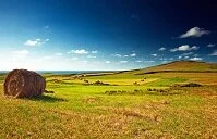 Copyright © Botond Horvath Spanish Geography - Field