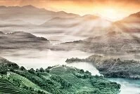 Copyright © Nicholas Han Taiwanese Geography - Rice fields & Lake Waist