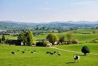 Copyright © Kevin Eaves British Geography - English countryside