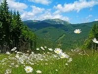 Copyright © Olena Buyskykh Ukrainian Geography - Carpathian Mountains